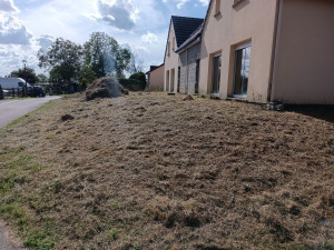 Photo de galerie - Débroussaillage après travaux ;)