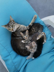 Photo de galerie - Des amours!