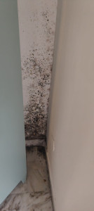 Photo de galerie - Ménage