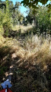 Photo de galerie - Paysagiste - Aménagement du jardin