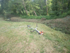 Photo de galerie - Tonte de pelouse - Débroussaillage