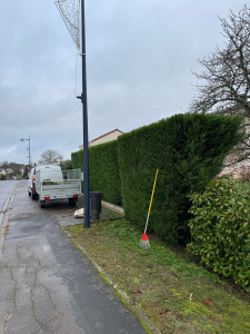 Photo de galerie - Taille de haie avec crédit d’impôt 
