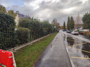 Photo de galerie - Taille de haies et d'arbustes