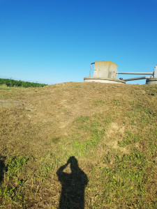 Photo de galerie - Tonte de pelouse - Débroussaillage