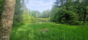 Photo de galerie - Tonte de pelouse - Débroussaillage