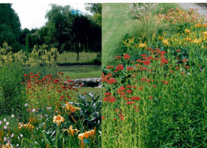 Photo de galerie - Jardinier