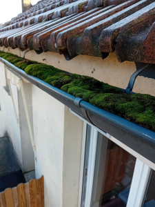 Photo de galerie - Couverture - Toiture