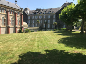 Photo de galerie - Tonte de pelouse - Débroussaillage