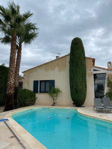 Photo de galerie - Taille de haies et d'arbustes