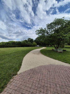 Photo de galerie - Entretien de jardin et réfection d’allée avec nettoyage de pavé 
