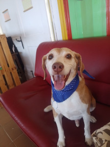 Photo de galerie - Prends soin de ton meilleur ami 