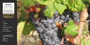 Photo de galerie - Le site du domaine des Béguineries, viticulteur à Chinon. Visible en cliquant sur ce lien --> https://domainedesbeguineries.com/