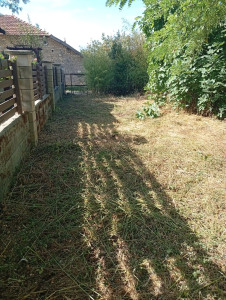 Photo de galerie - Tonte de pelouse - Débroussaillage