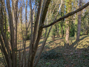 Photo de galerie - Ménage