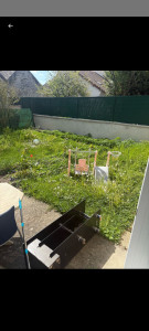 Photo de galerie - Tonte de pelouse - Débroussaillage