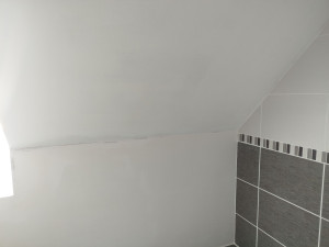 Photo de galerie - Plâtrerie - Murs - Plafonds