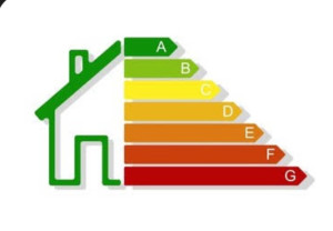 Photo de galerie - .