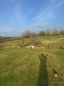 Photo de galerie - Tonte