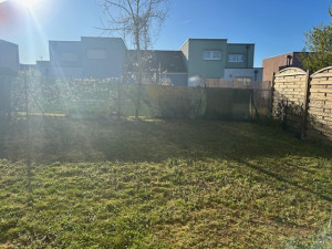 Photo de galerie - Premier tonte 