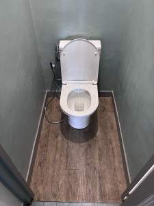 Photo de galerie - Remplacement complet de WC sortie verticale