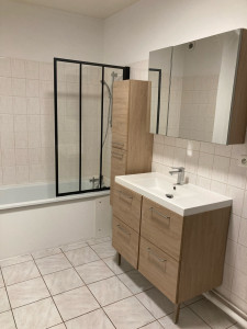 Photo de galerie - Rénovation salle de bain au choix du client