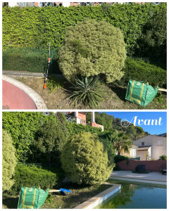 Photo de galerie - Jardinier