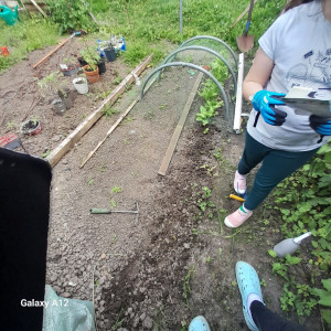 Photo de galerie - Une partie de mon potager .