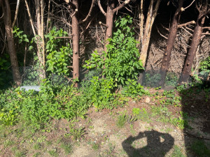 Photo de galerie - Clôture Grillage