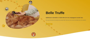 Photo de galerie - Création de site web dans le domaine du toilettage 