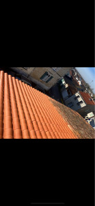 Photo de galerie - Nettoyage de la toiture