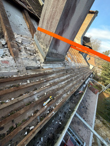 Photo de galerie - .