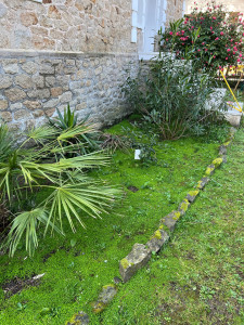 Photo de galerie - Avant entretien