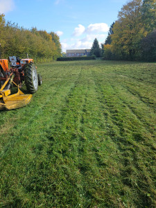 Photo de galerie - Tonte de pelouse - Débroussaillage
