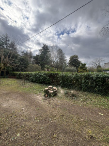 Photo de galerie - Abattage d'arbre qui était déraciné suite à la tempête