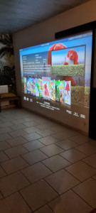 Photo de galerie - Assistance informatique