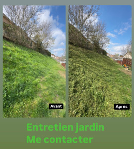 Photo de galerie - Débroussaillage d’un talus 