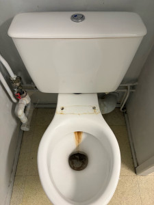 Photo de galerie - Toilettes (avant)
