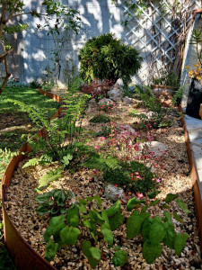 Photo de galerie - Paysagiste - Aménagement du jardin