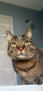 Photo de galerie - KITKAT