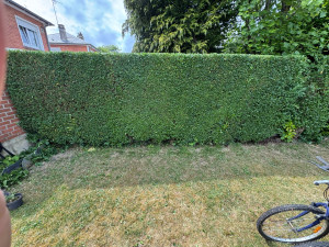 Photo de galerie - Taille 