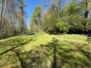 Photo de galerie - Tonte avec ramassage 