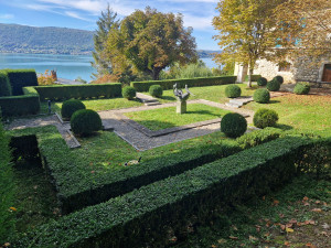 Photo de galerie - Taille haie buis boule et tonte