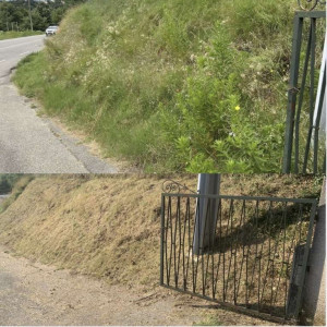 Photo de galerie - Tonte de pelouse - Débroussaillage