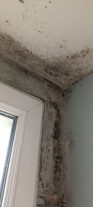 Photo de galerie - Ménage