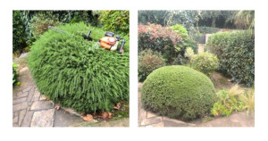 Photo de galerie - Jardinier