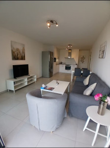 Photo de galerie - Nettoyage salon 