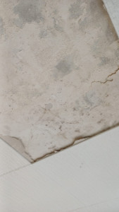 Photo de galerie - Peinture - Tapisserie