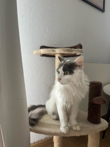 Photo de galerie - Légo
