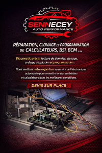 Photo de galerie - Réparation Calculateur Moteur 