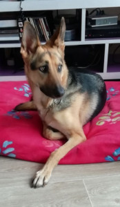 Photo de galerie - Chanel 6ans
